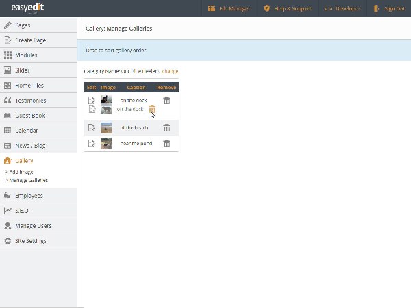 manage photo gallery in Easy Edit