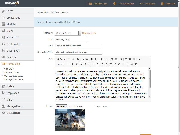 post a blog entry in Easy Edit